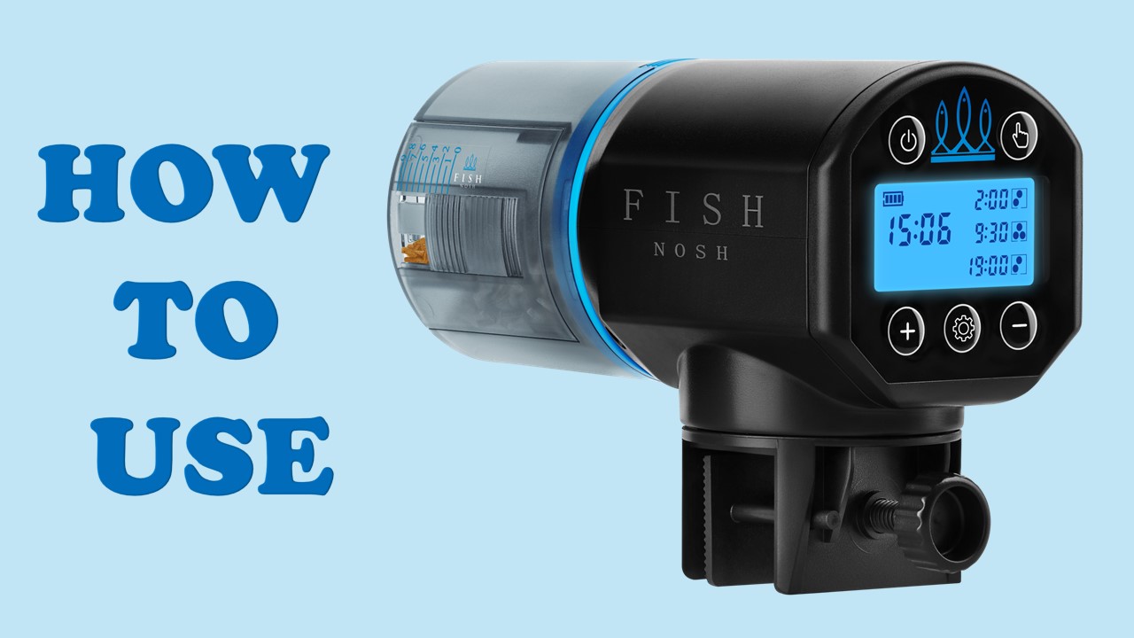 Fishnosh Automatic Fish Feeder Petbank Automatic Fish Feeder For