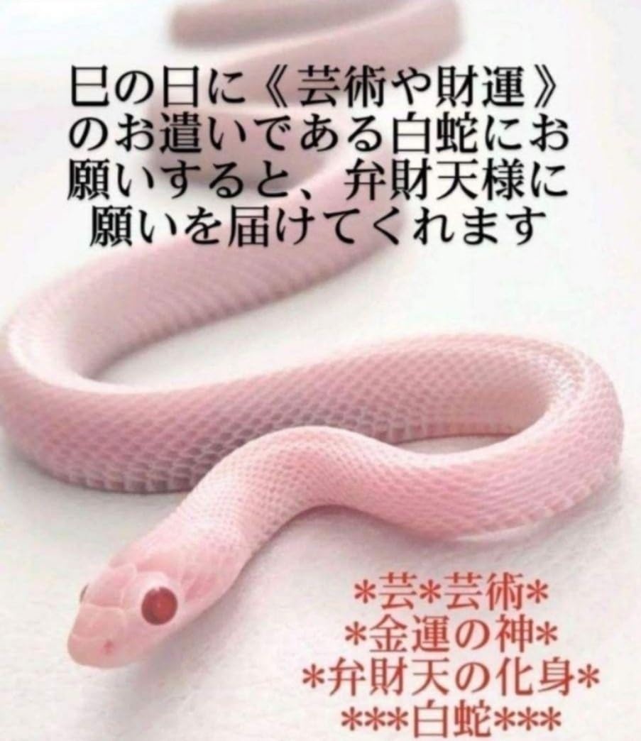 ◇❖金運・恋愛・開運のお守り❖◇白蛇 初脱皮 縁起物◇❖