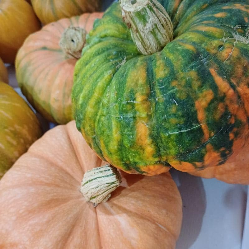 Calabaza de 2 kg