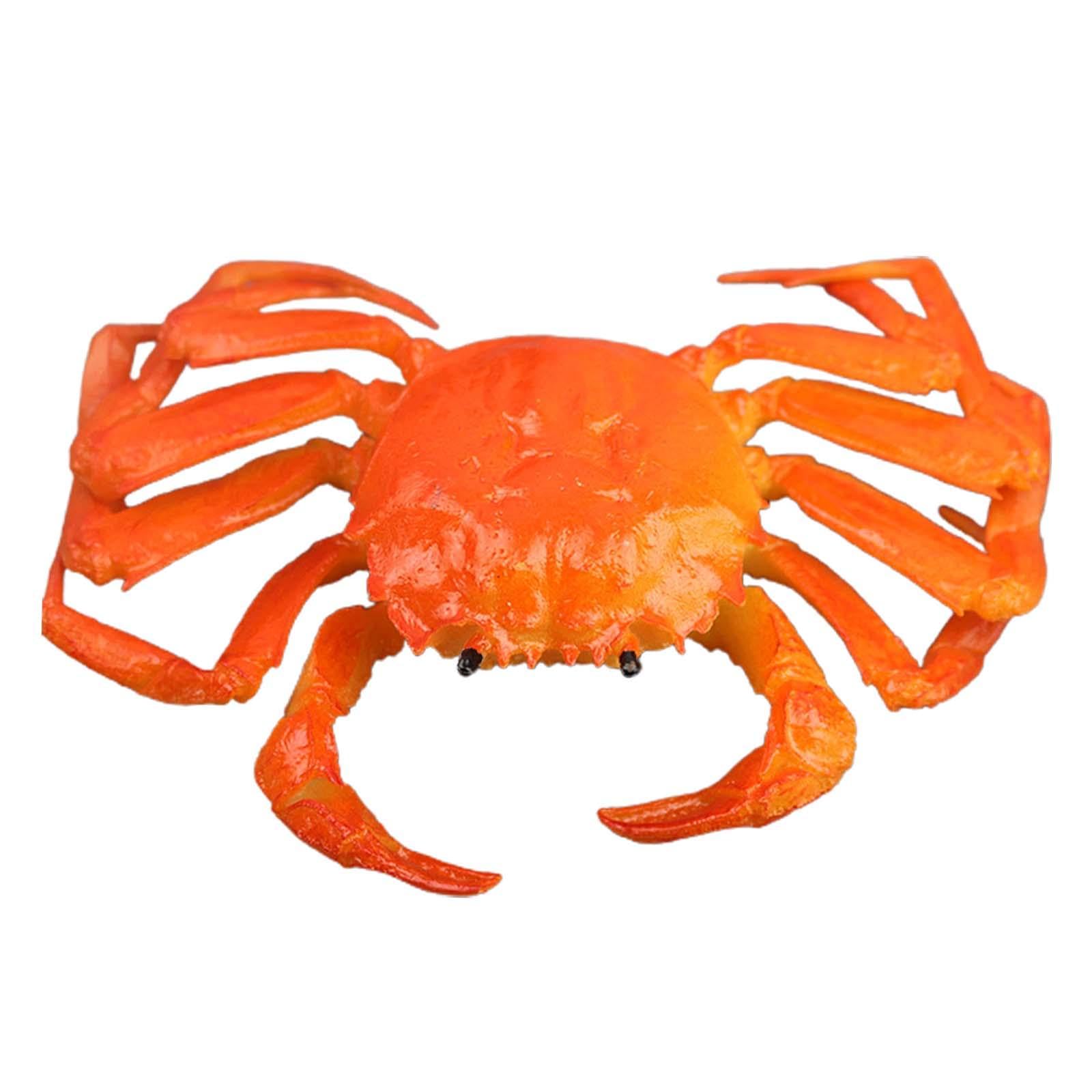 Amazon.co.jp: kowaku カニのモデルのおもちゃ海の生き物の