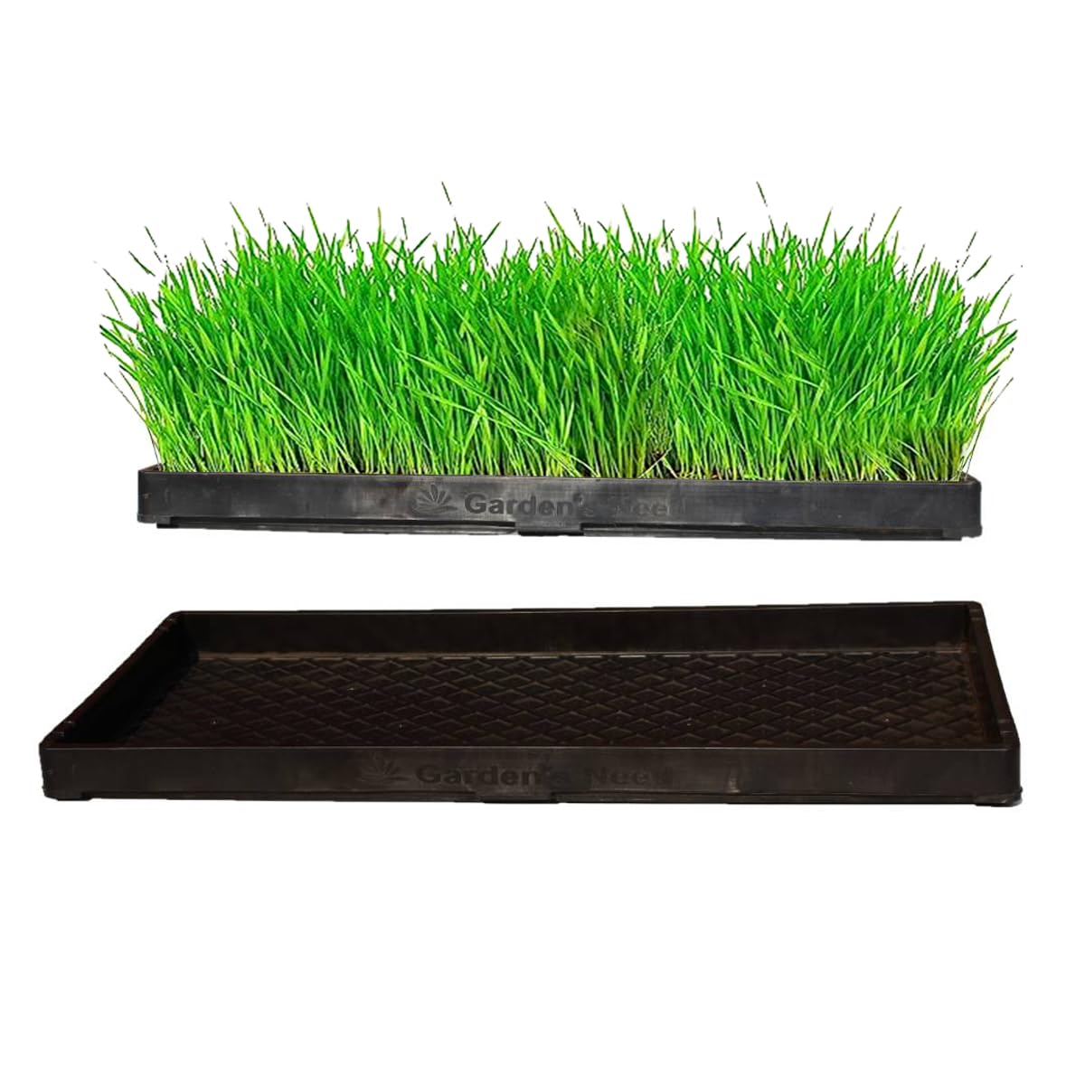 Garden Tales Thick Reusable, Plastic Wheat Grass Trays - (Set of 2) for Greenhouse, Hydroponics, Vegetables, Flower Germination - (Size : L 60.5 cm x W 29.8 cm x H 4.6 cm) - Black (B0CXN993TK) Amazon Price History, Amazon Price Tracker