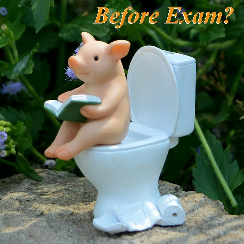Gemmia Figurine di maiale da giardino delle fate in miniatura- Giocare a calcio maiale