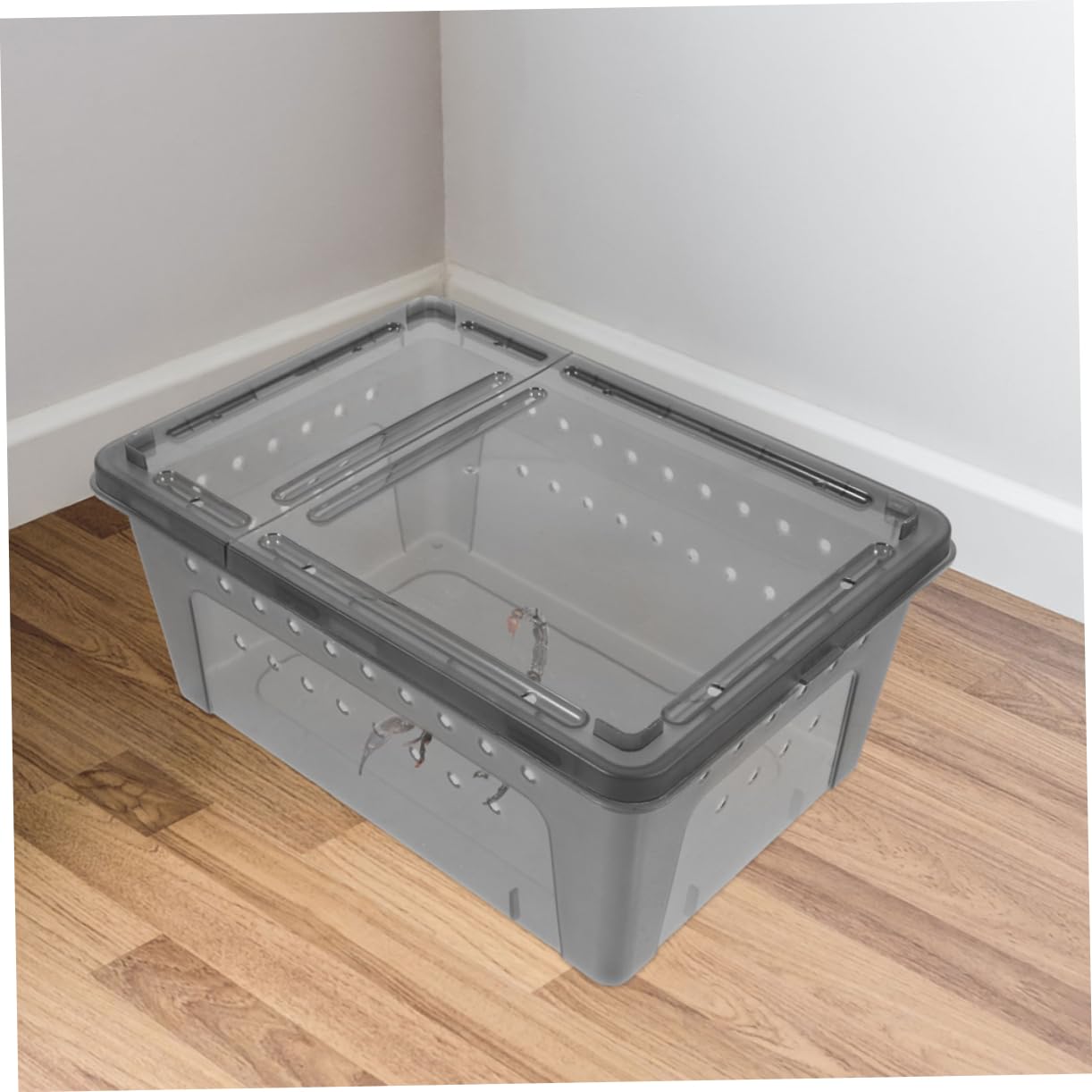 INOOMP 3 Set di Scatole di Riproduzione per Lucertole Accessori per Rettili Scatola di Alimentazione per Rettili Terrario per Ragni Terrario per Lumache 2 Pezzi * 3