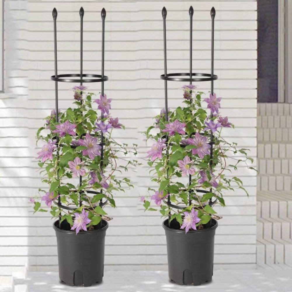Traliccio Per Piante Rampicanti 2 In 1 | Gabbia Per Pomodori Alta 120 Cm, Supporto Regolabile Per Giardino (2 Pezzi) - 3