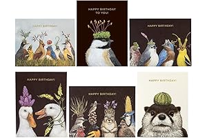 Vicki Sawyer Blank Birthday Cards - Value Boxed Sets