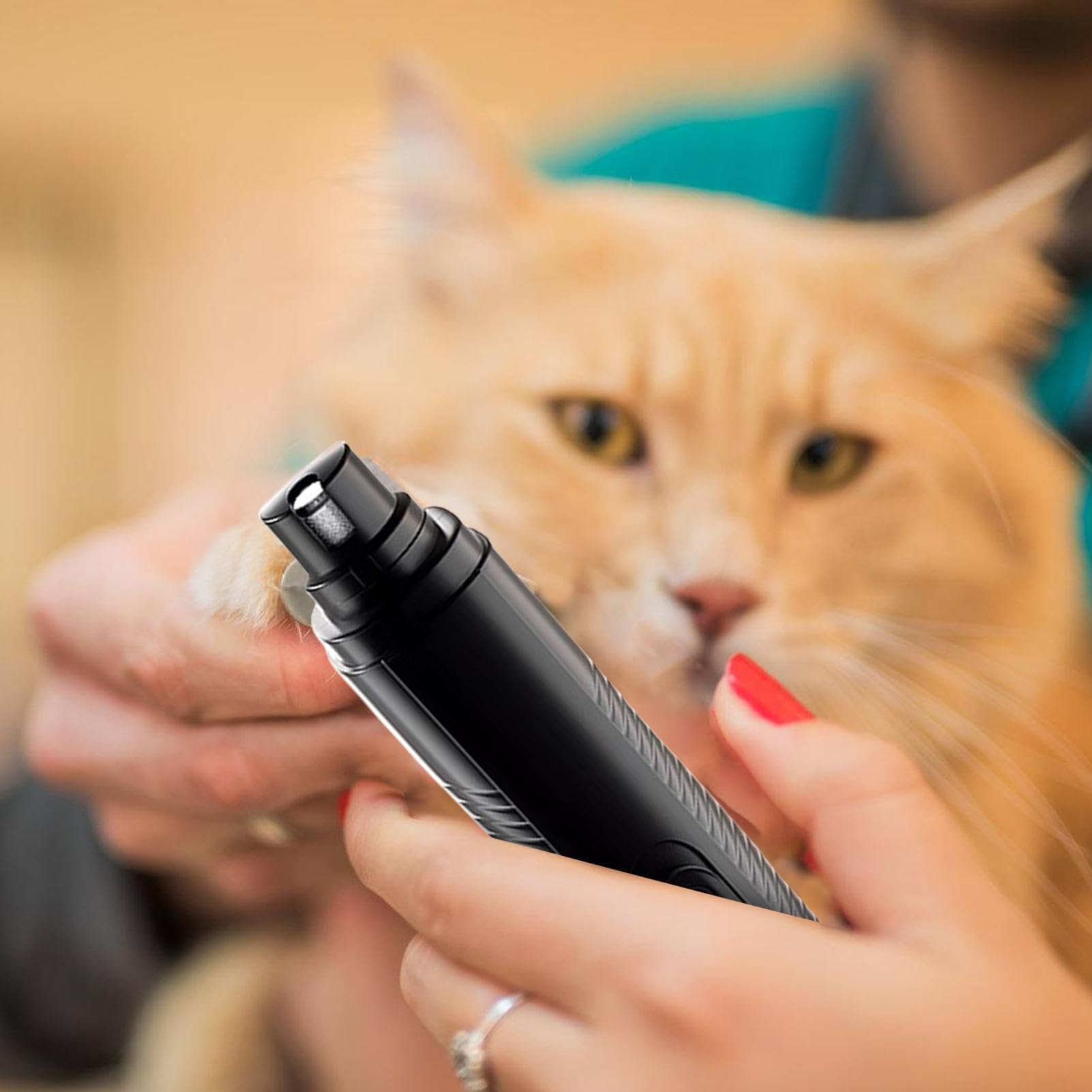 Nagelschere für Haustiere, Haustier-Nagelschleifer, Hundepfotenschneider, kabelloser LED-Elektrohund, leiser Katzennagel, professionelles Pflegewerkzeug for C(Black)