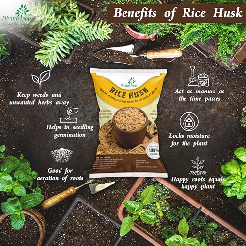Image of DIVINE TREE Organic Rice Husk for Plants | Paddy Husk Soil Conditioner & Potting Mix Additive for Gardening | Improves Aeration, Drainage & Water Retention | Natural Mulch (450gram)