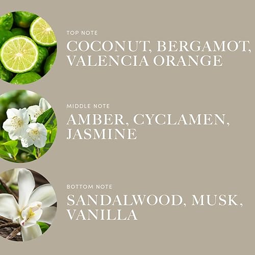 Miniatura 3 de Aroma360 Disney Down in New Orleans Mezcla de aceites aromáticos La princesa y la rana Princesa Tiana Aceite difusor de aroma de aromaterapia