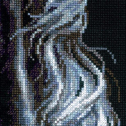 Image of RIOLIS - Breeze Through Mane 1494, Counted Cross Stitch Kit 11,81 inch x17,72, Black Horse Embroidery Kit, Cross Stitch Patterns for Adults with Horse, Cross Stitch Kits for Adults Advanced & Beginners