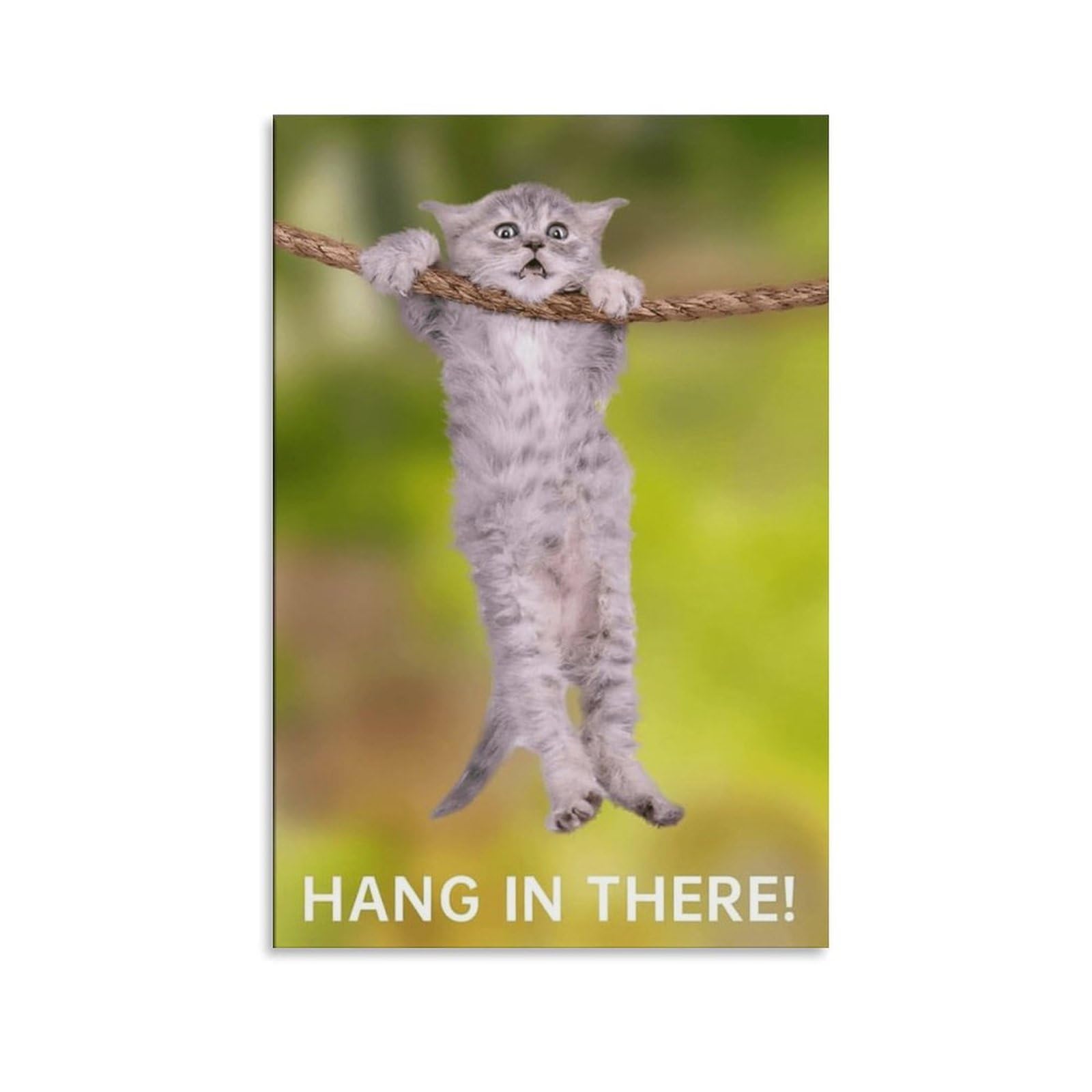 Hang in There Cat Poster - Canvas Print Wall Art Decoration Poster - Funny Cat Posters for Wall, Motivational Wall Art Inspirational Posters Print Canvas Home Living Room Bedroom Decor Mural 12x18inch(30x45cm) Unframe-style