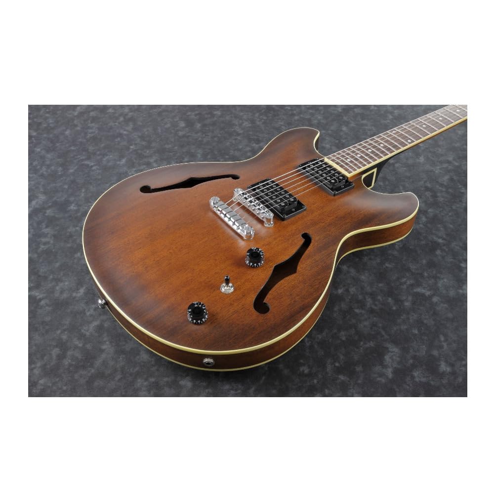 Amazon.com: Ibanez AS53TF Electric Guitar, Trans Finish
