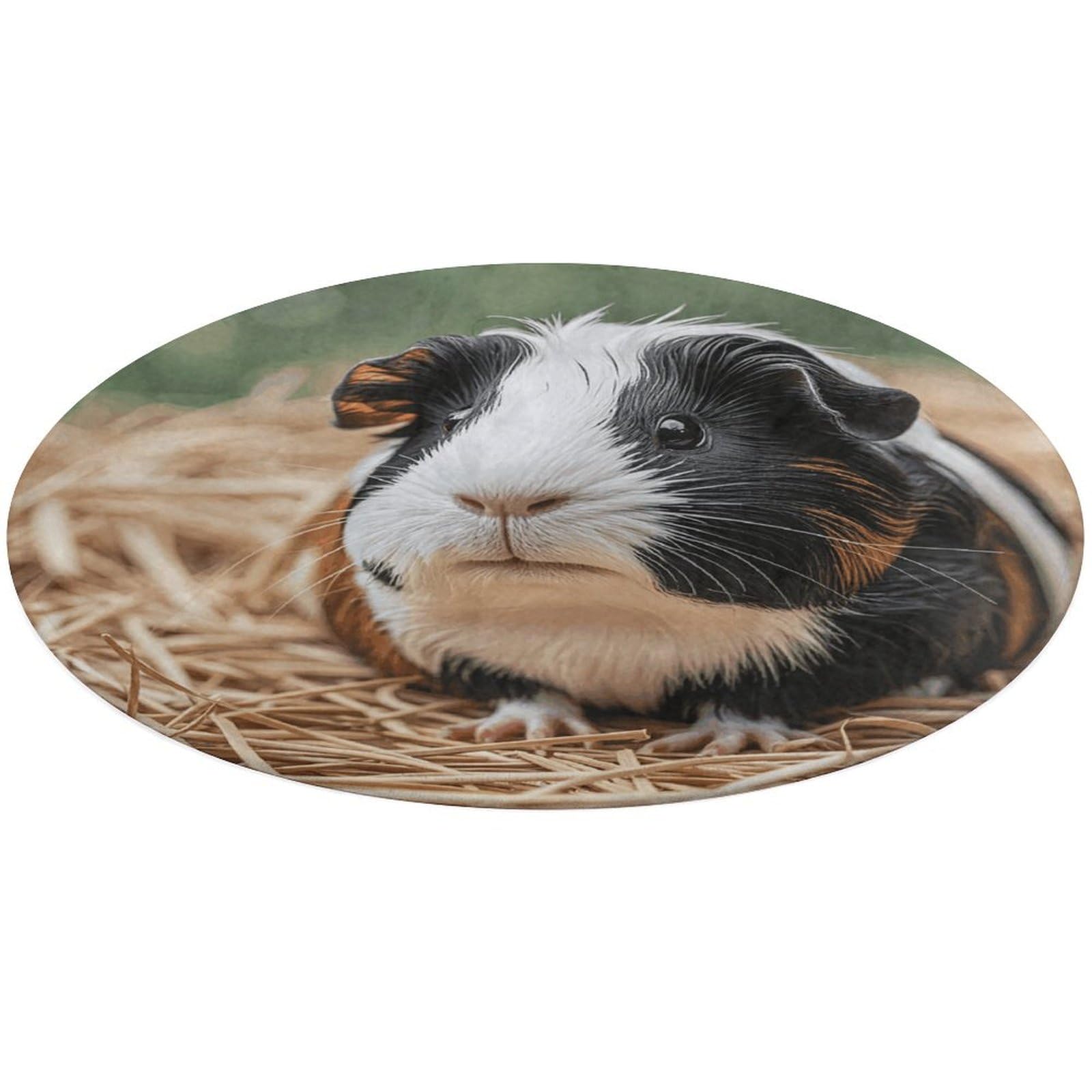 Tapis rond en velours corail lavable en machine pour un entretien sans effort