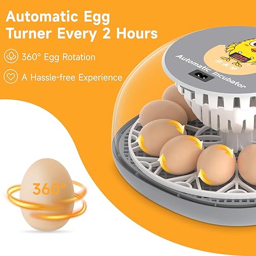Miniatura 3 de Apdoe Incubadora de 12 huevos, incubadoras para incubar huevos, girador automático de huevos con control de temperatura, vela de huevos, reposición