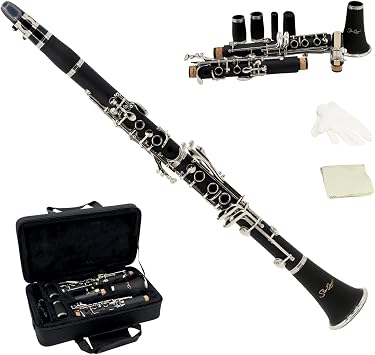 StarQuest SQ-CL250 Clarinet Set For Beginners, Protective Hard Case, Reed, Cleaning Cloth & Gloves Included, Nickel-Plated Keys & Durable ABS Construction