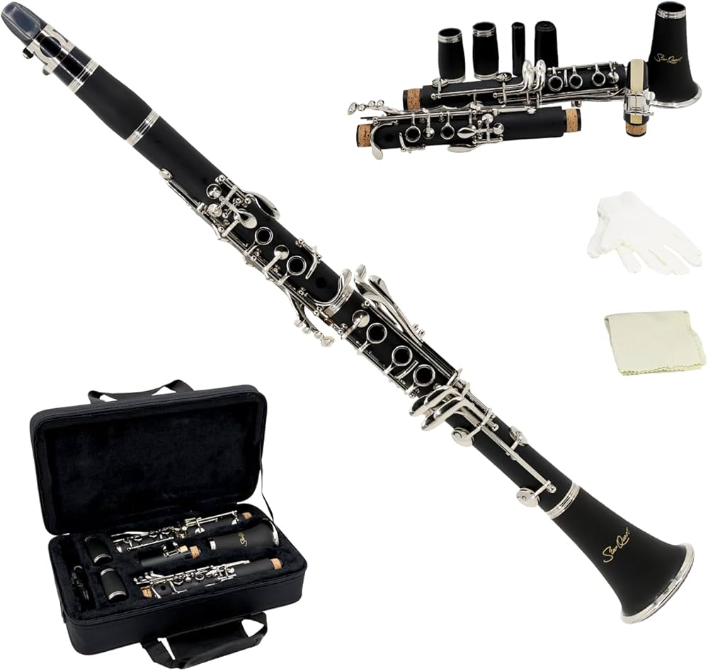 StarQuest SQ-CL250 Clarinet Set For Beginners, Protective