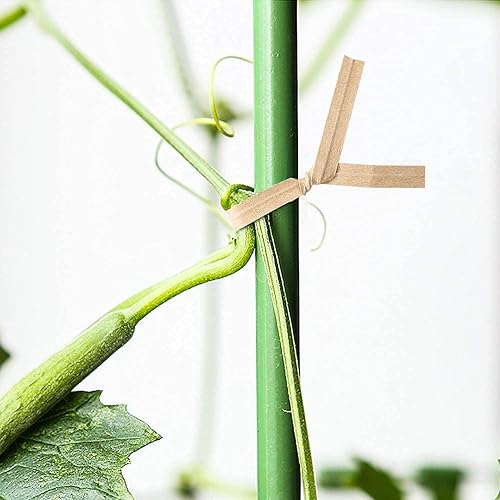 Vista 4 de 1000 piezas de lazos giratorios, lazos de papel kraft para plantas, lazos de pan reutilizables para fiestas, violonchelo, dulces, café, bolsas