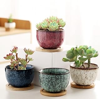 Ceramic Plants Pots 3 Inch Set of 4 Flower Pots with Drainage and Bamboo Tray for Indoor/Outdoor Small House Plants,Foliag...
