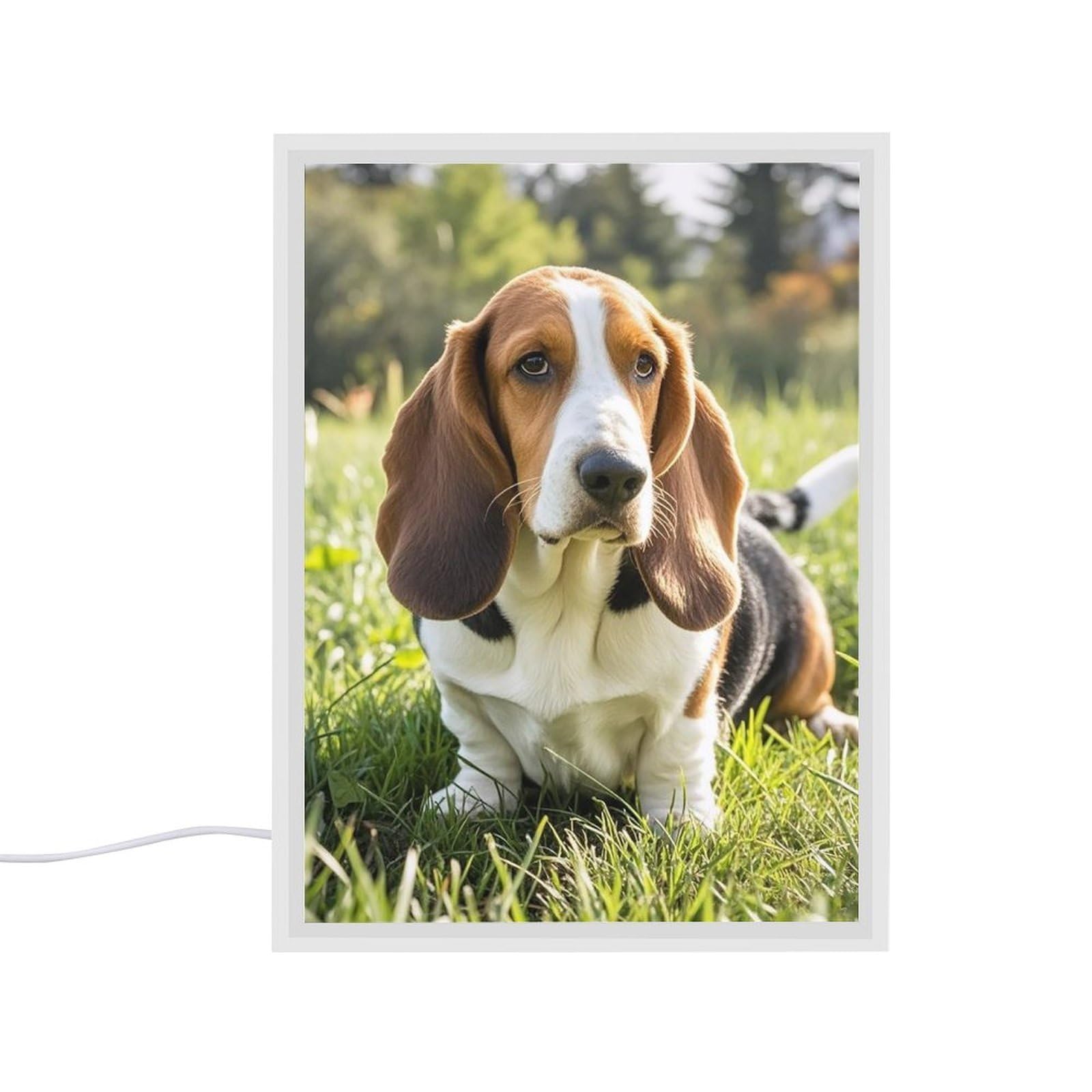 Miroir de courtoisie Basset Hound lumières LED miroir beauté portable éclairé intensité variable