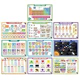 Fat Zebra Designs Educational Placemats - Set of 10 Learning Placemats - Easy Clean, Durable & Reusa