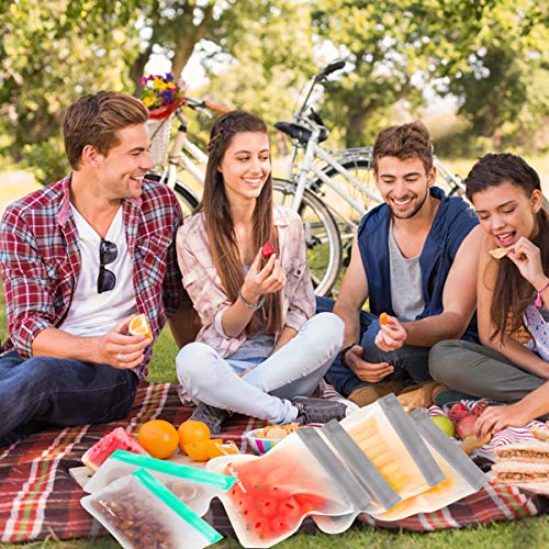 12 Pack Reusable Food Storage Bags Bpa Free Extra Thick Dishwasher Safe 6 Reusable Sandwich Bags + 6 Reusable Snack Bags Dual Leakproof Freezer Bags #TOP6