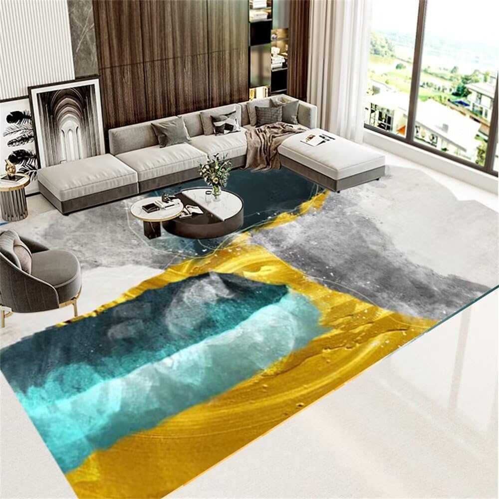 DJHWWDLarge Floor Mat 0 Cheap Rug Super Soft Rug300x400CM