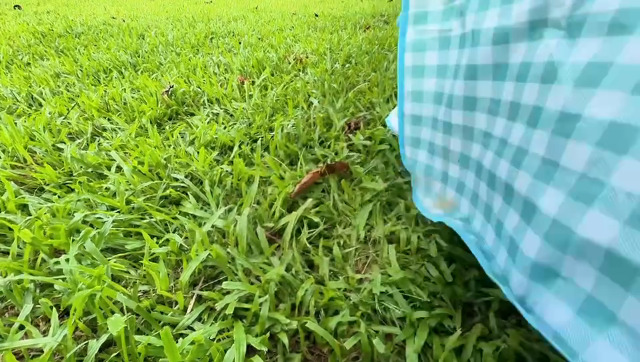 Couverture De Pique-nique 200x200 Cm Imperméable - Tapis Extérieur Pliable Avec Poignée - Pour Parc, Plage, Camping Nappe Imperméable 200x200
