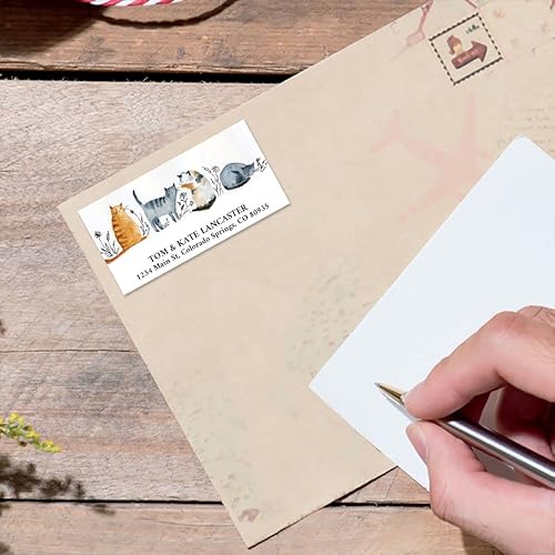 Colorful Images - Etiquetas de dirección de remitente para fiesta de gatos, personalizables con nombre y direcciones, juego de 144 etiquetas