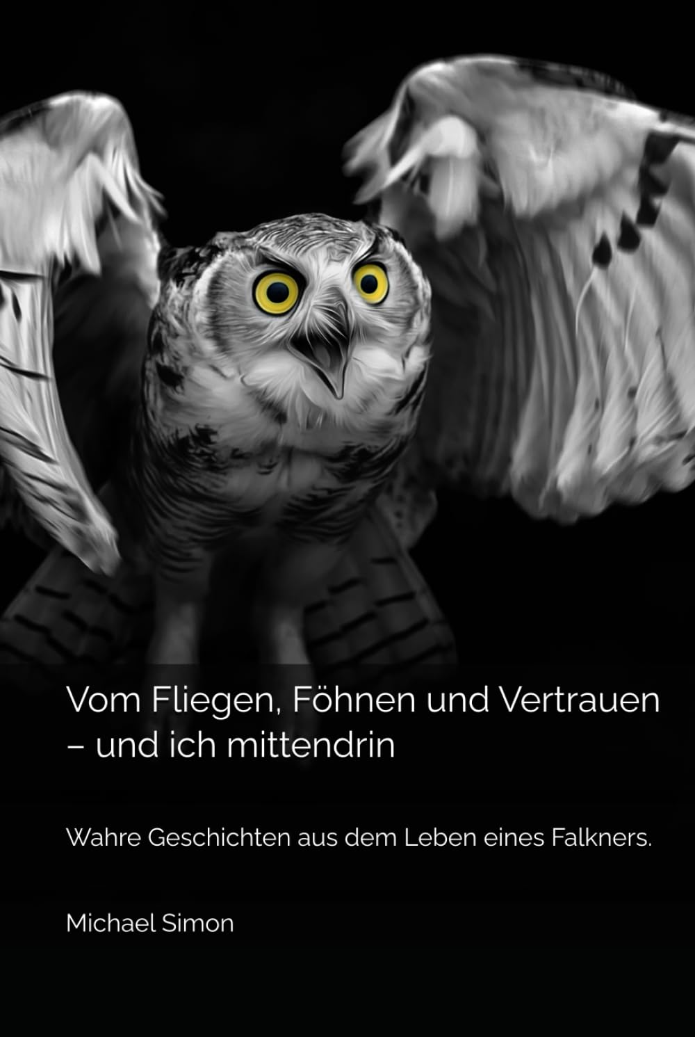 Vom Fliegen, Föhnen und Vertrauen – und ich mittendrin: Wahre Geschichten aus dem Leben eines Falkners.