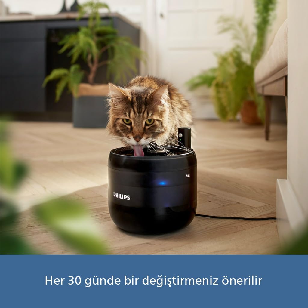 Philips 3000 Serisi Su Pınarı Yedek Filtreleri, Çok Katmanlı Filtreleme, 30 Gün Tazelik, 3’lü, PAW0010/01
