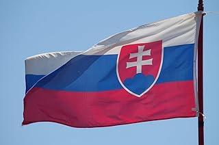 3x5 Ft (90 X 150cm) Slovakia Flag Large Flag of Slovakia with 2 Brass Grommets Slovakia National Flag Party Festival Procession Celebration Sport Activities Garden Home Indoor Outdoor Decoration
