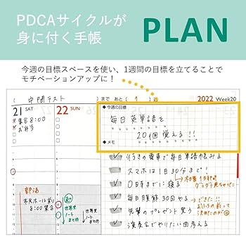 Amazon.co.jp: NOLTYスコラ (2023年 4月始まり) NOLTY スコラ