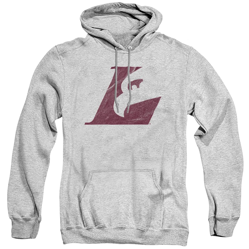 LOGOVISION Official Collegiate Distressed Primary Logo Adult Pullover Hoodie Collection — view 353