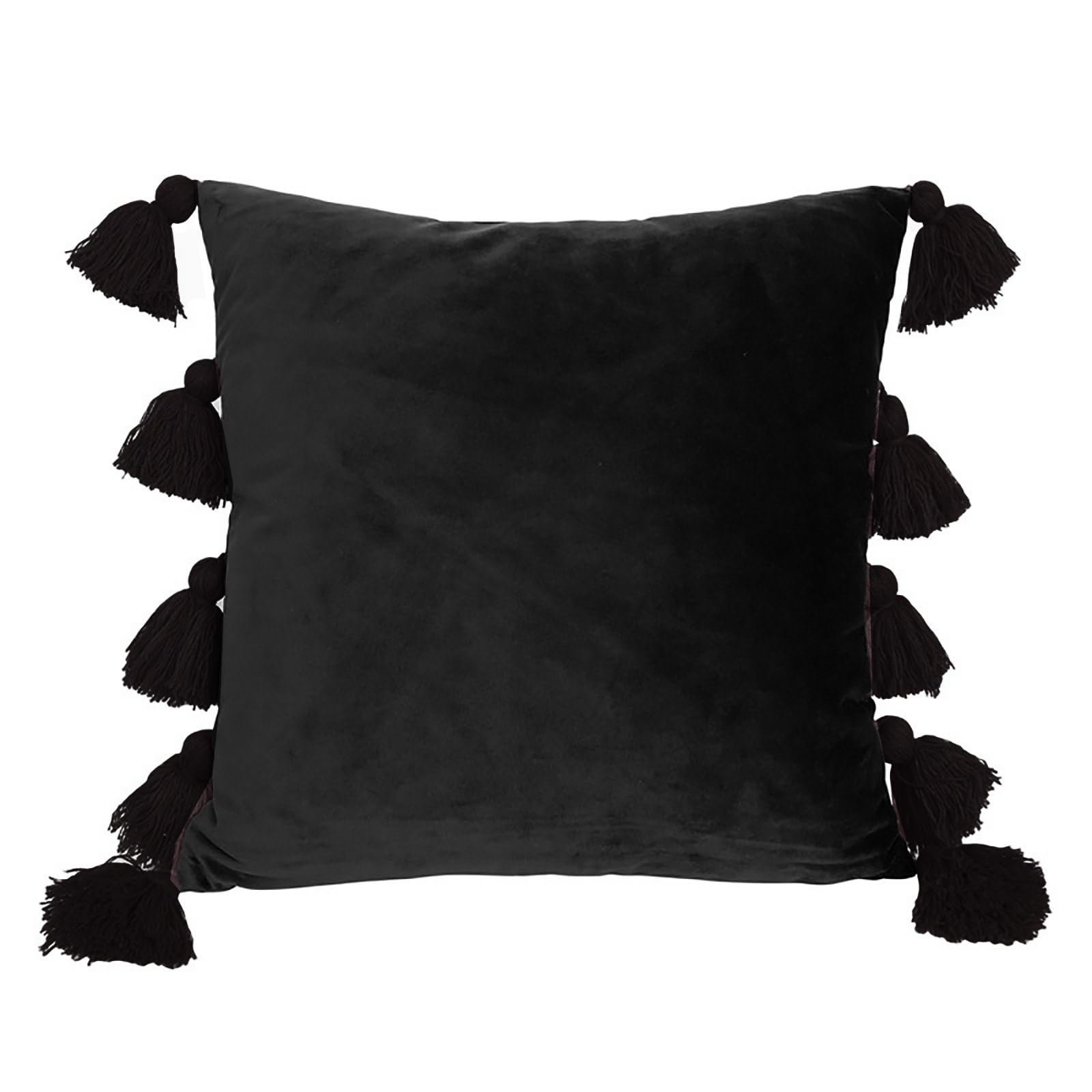 Yhplxyuus Luxurious Touch Velvets Throw Pillow Cover with Tassels for Couch and Decoration Pillow Cover