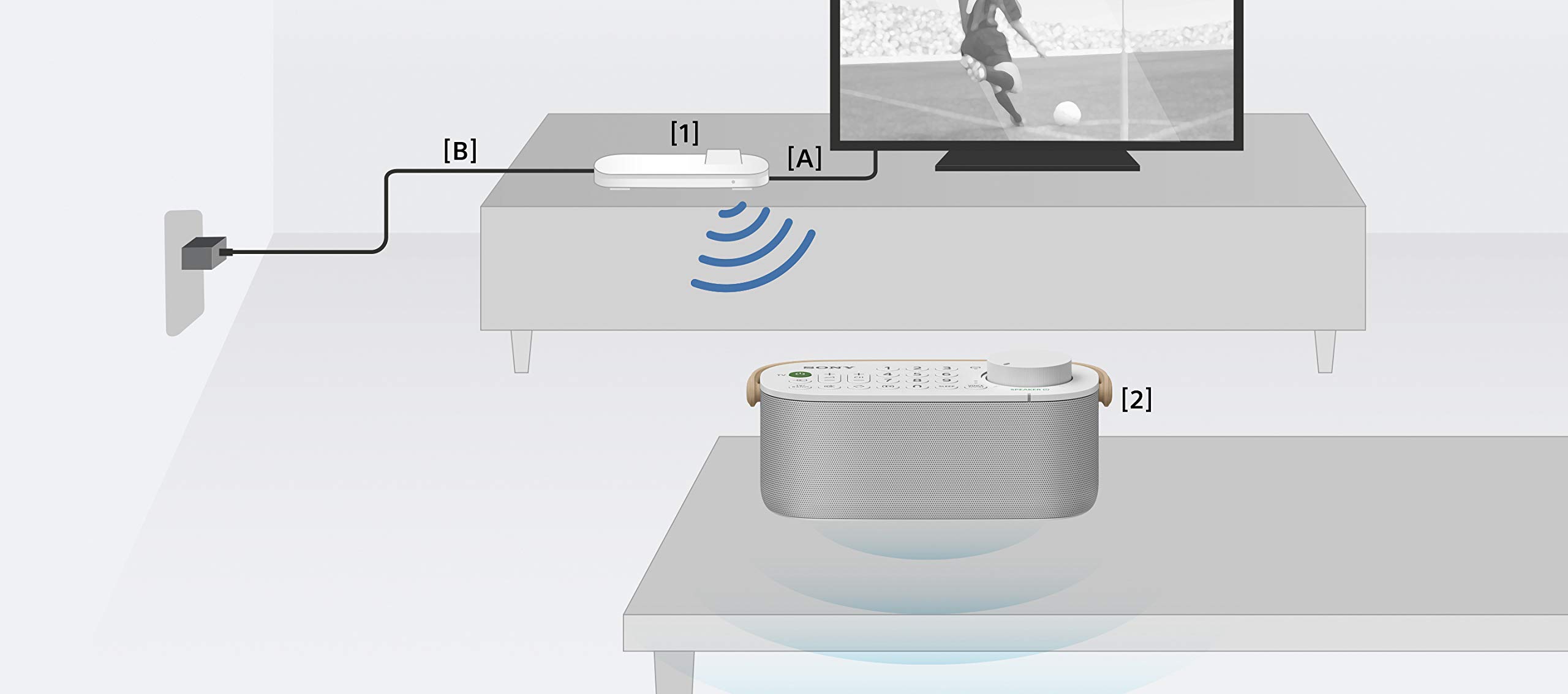 Sony SRS-LSR200 | Enceinte TV sans Fil pour Les malentendants et Les Personnes âgées - Blanc (SRSLSR200.CE7) Taille Unique