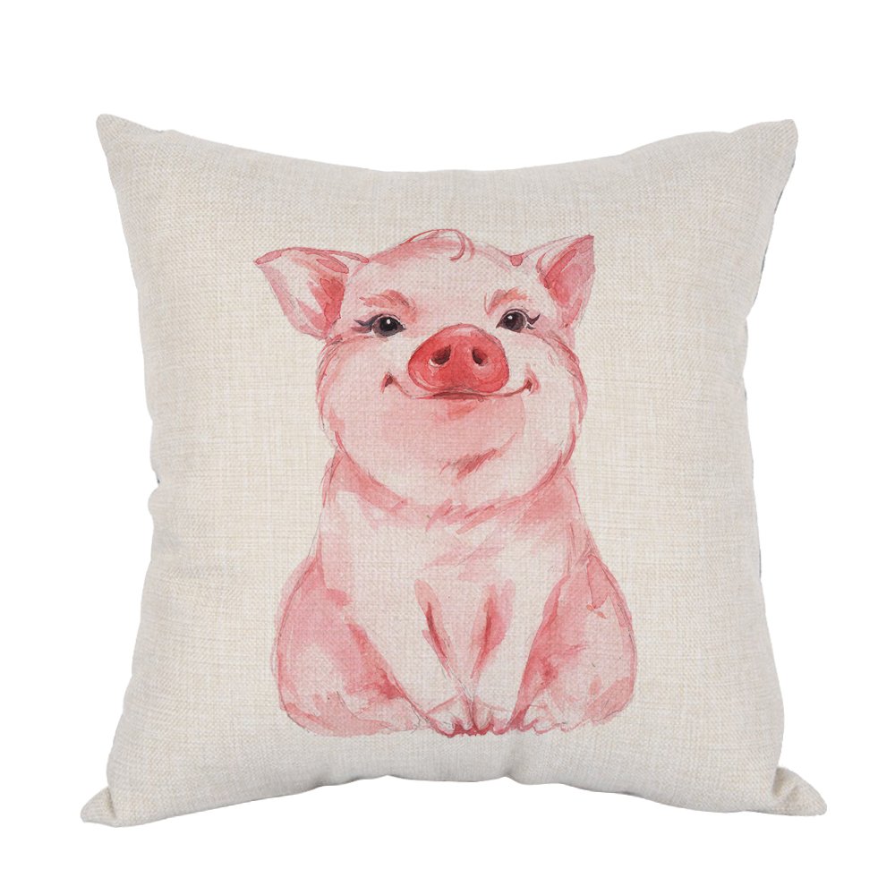 pillow photo frame