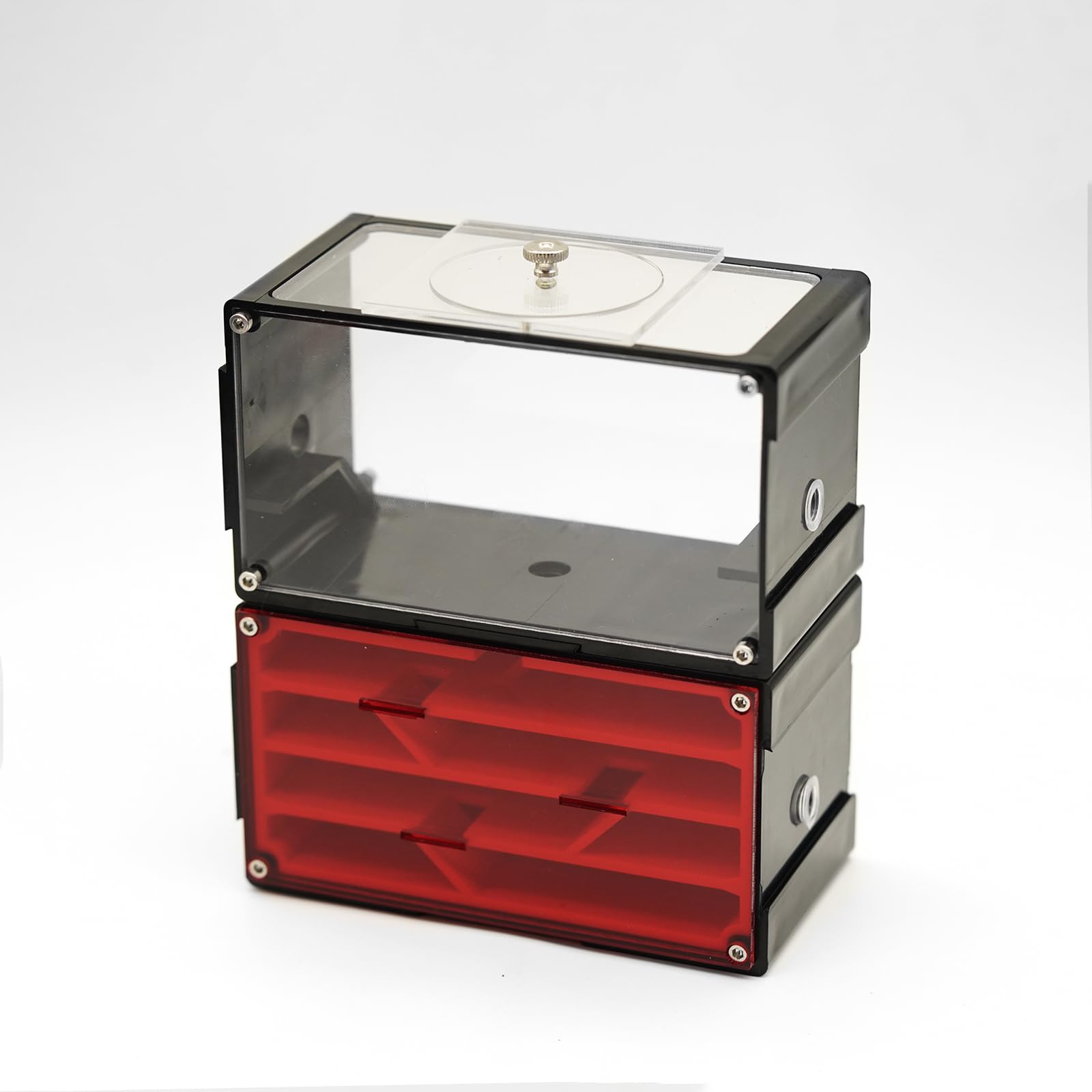 AntNest Transparent Acrylic Adult Ant Farm with Live Ants, Queen, and Nest - Education & Observation for Children & Enthusiasts