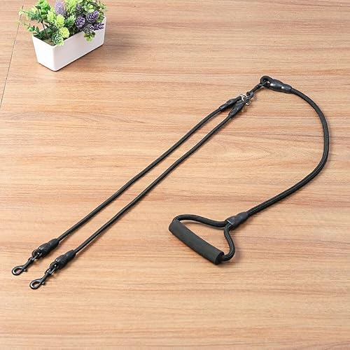 Double Dog Leash