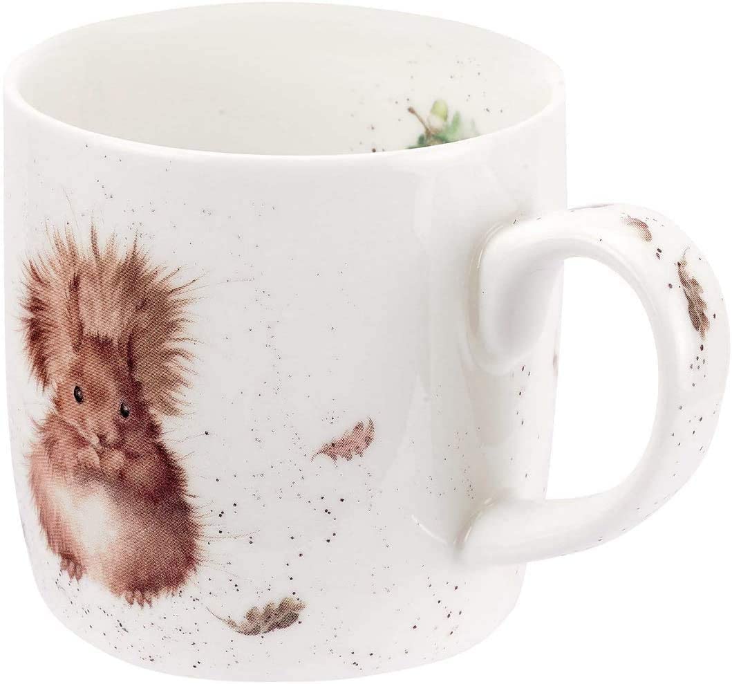 Amazon.com | Royal Worcester Wrendale Designs 14 Ounce Fine Bone China Mug-  Treetop Redhead, Squirrel: Coffee Cups & Mugs