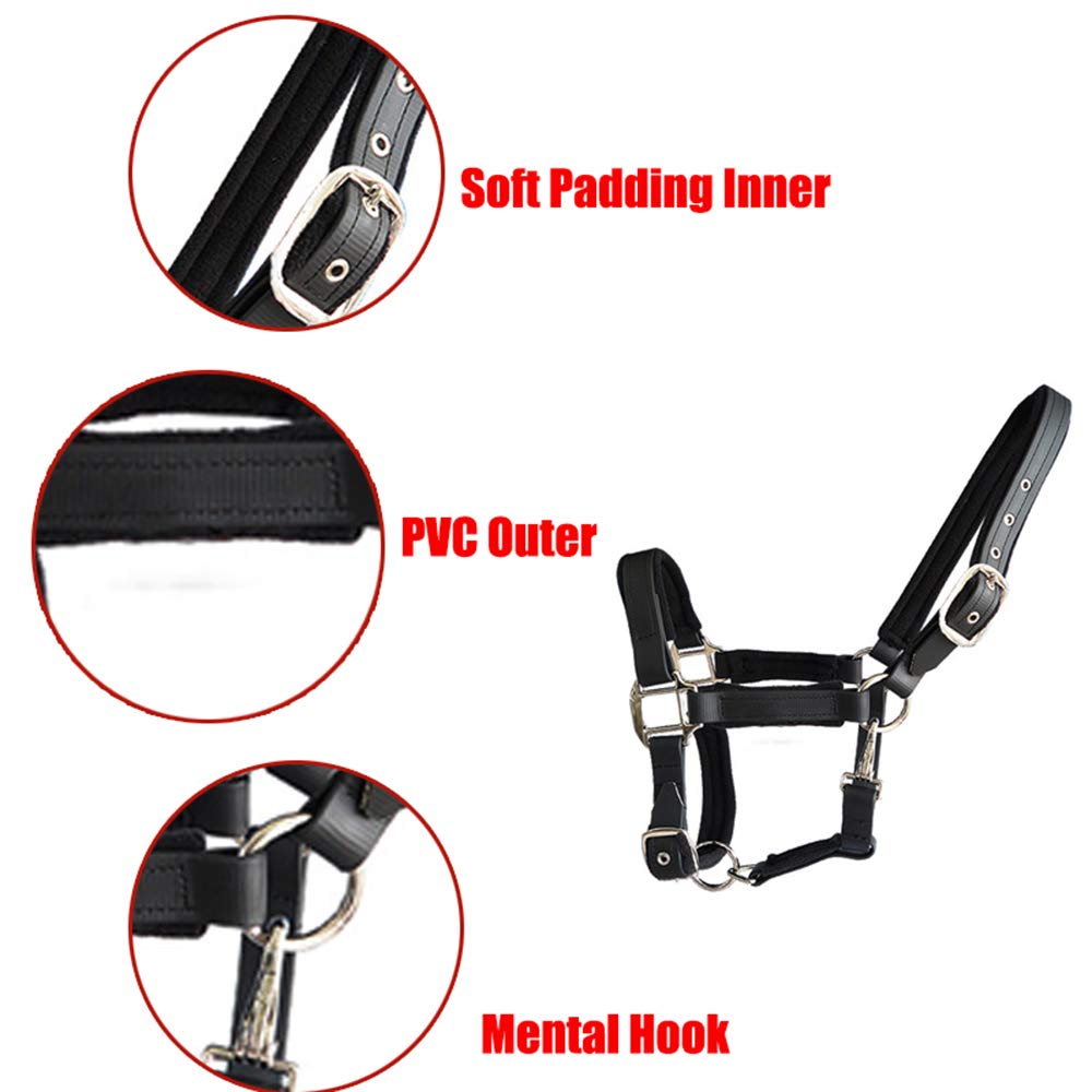 tooloflife Licol pour cheval double couche en nylon épais doux rembourré pour poulain, poney âne Taille M