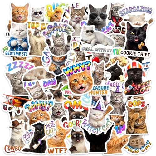 Bluradio 100PCS Funny Cat Stickers, Meme Vinyl Decals for Cat Lovers