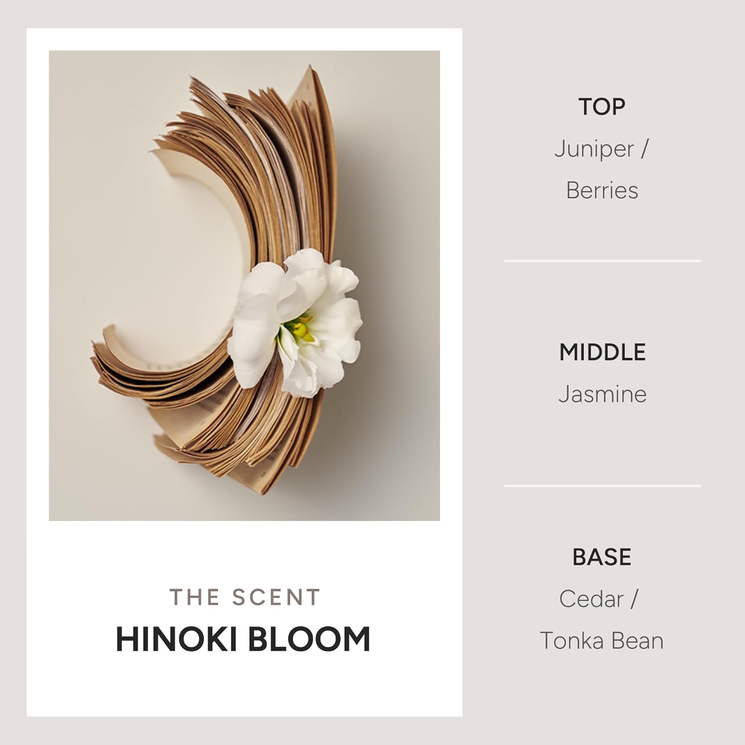 Intensive Hair Treatment – Rice Protein Repair Formula for Smoother, Stronger Hair – Moisturizing & Strengthening Korean Conditioner Mask – Sulfate & Paraben-Free – Hinoki Bloom, 8.81 fl oz - Image 5