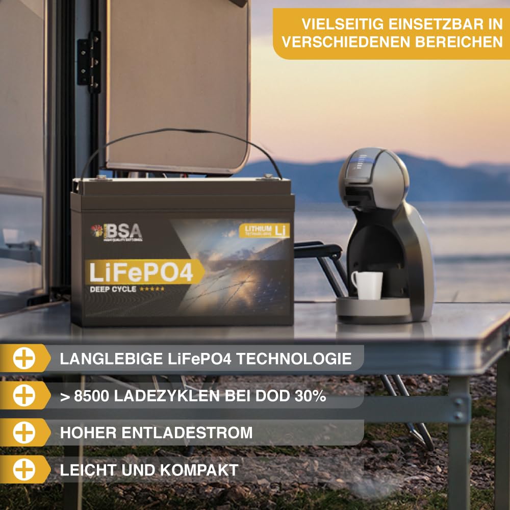BSA LiFePO4 100Ah 12V Mini Lithium Batterie Wohnmobil Solarbatterie Solar