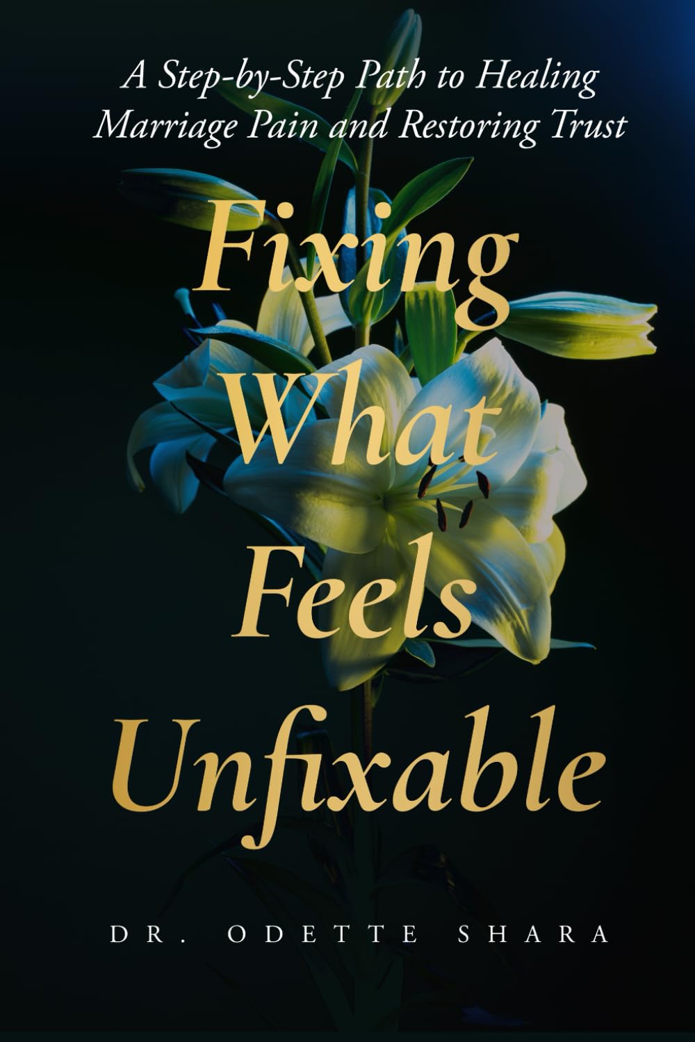 Fixing What Feels Unfixable: A Step-by-Step Path to Healing Marriage Pain and Restoring Trust