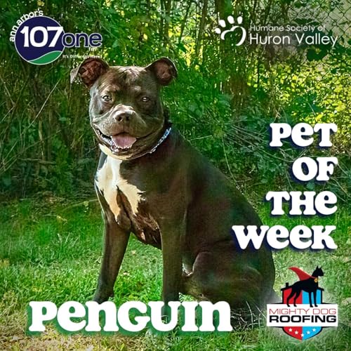 a2VV: HSHV Pet of the Week 9/25/25 Podcast Por arte de portada