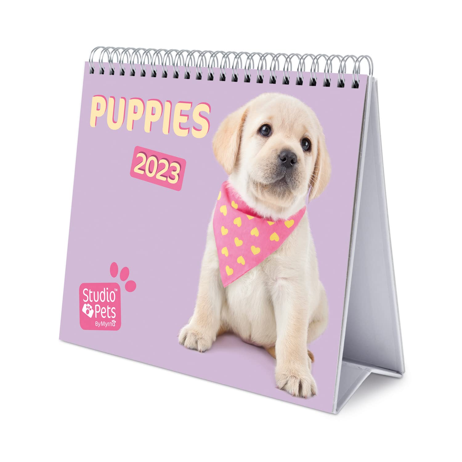 Grupo ErikStudio Pets Dogs Calendar 2023 - Desktop Calendar 2023-7 X 8 Inches / 18 X 20 - Dogs Desk Calendar 2023-12 Month 2023 Planner - Dog Calendar 2023