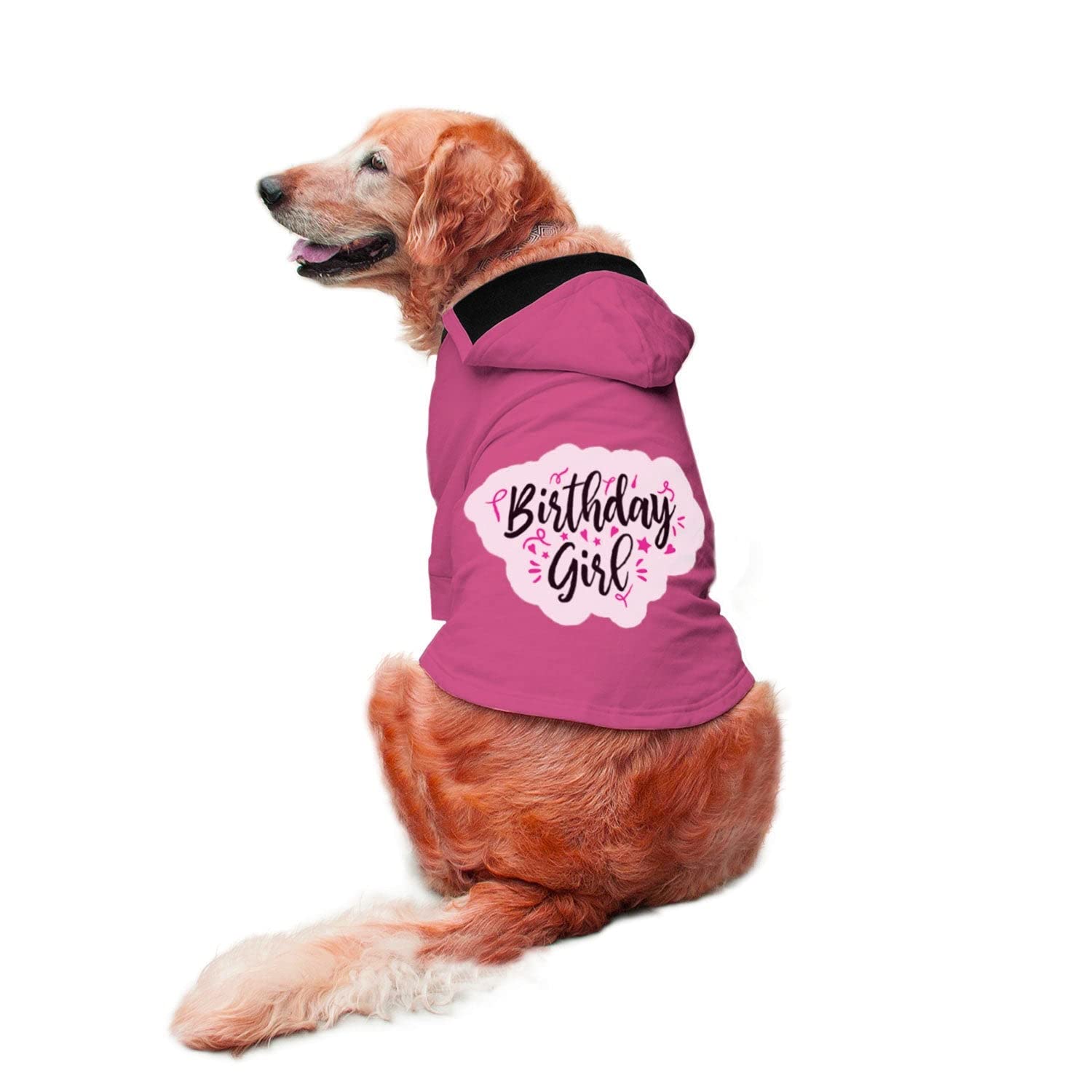 Ruse Birthday Girl Printed Full Sleeves Dog Autumn Winter Hoodie Jacket/Apparel/Clothes/Jackets Gift for Dogs.Pink/X-Large (Full Grown Retrievers, Labs etc.) (B09J58V1D6) Amazon Price History, Amazon Price Tracker