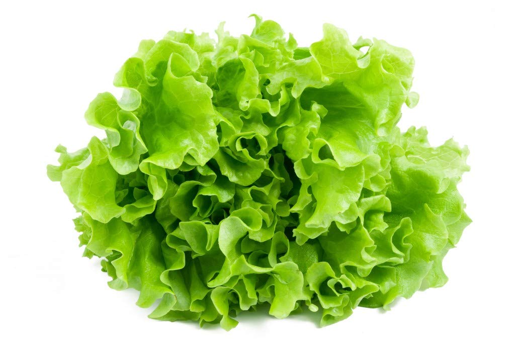 Creative Farmer Vegetable Seeds Lettuce Keerai Seeds - Lettuce Green ?Seeds Seeds Winter Season Home Garden Seeds (B07N47M2XN) Amazon Price History, Amazon Price Tracker