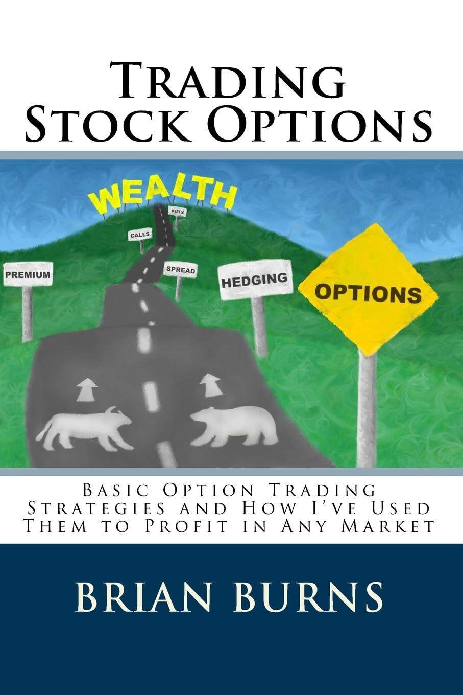 Trading Stock Options: Basic Option Trading Strategies And How I've Used Them To Profit In Any Market