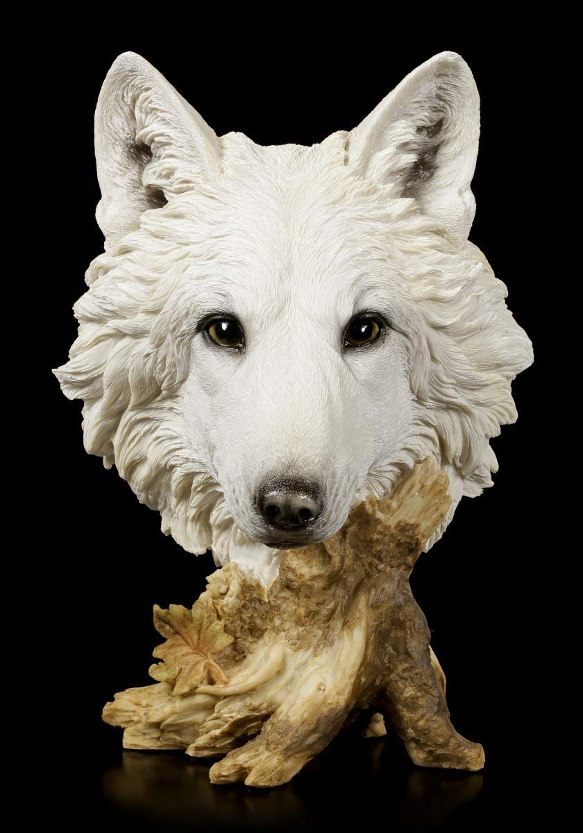 Figuren Shop GmbH Große weiße Wolfskopf Büste - Winterzeit | Tierstatue, Dekofigur, handbemalt, H 40 cm
