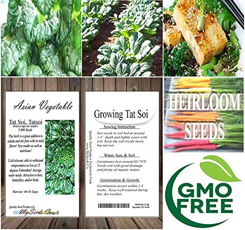 Vista 6 de Paquete grande - Semillas sin transgénicos de MySeeds.Co